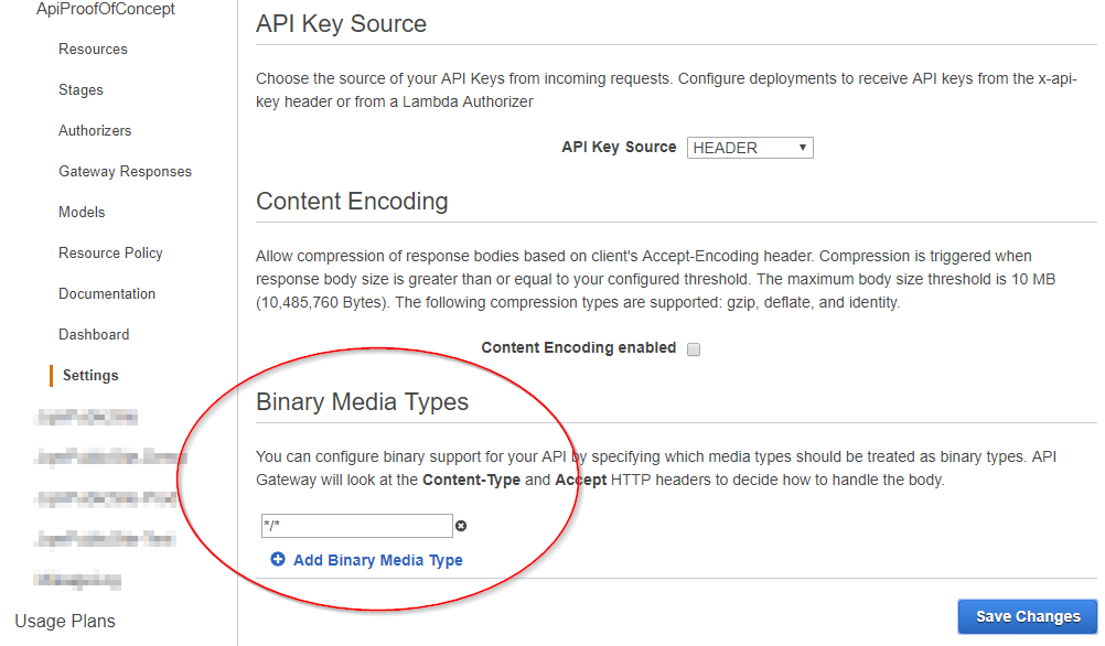 AWS Console - API Gateway Setting screen with Binary Media Types highlighted and set to 